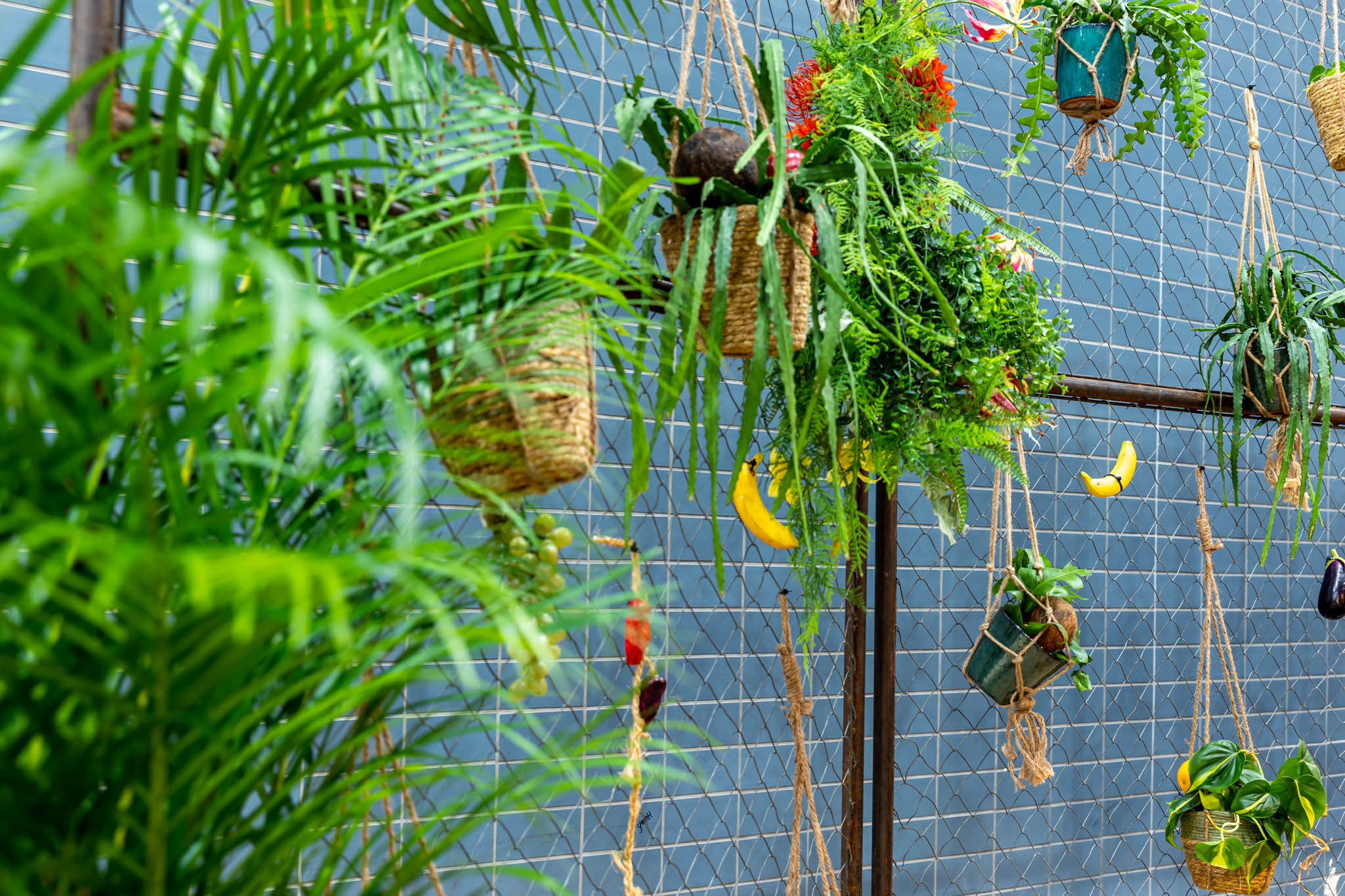 1101_BloemBloem_WR-©-Sabine_van_Nistelrooij-105