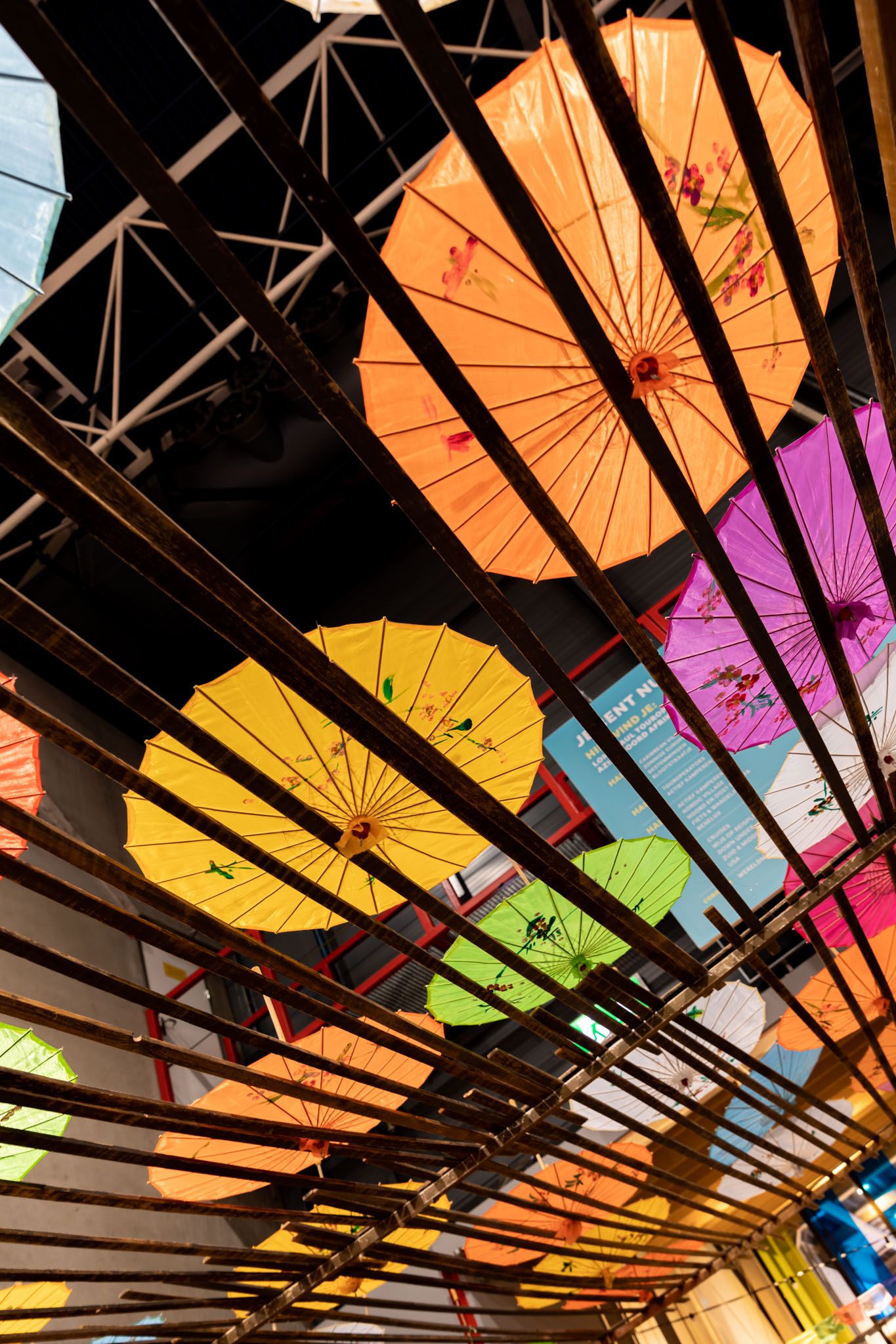 1101_BloemBloem_WR-©-Sabine_van_Nistelrooij-84 - kopie