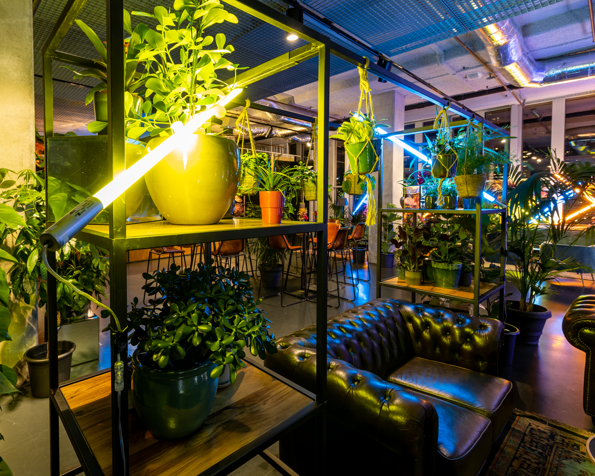 1111_BloemBloem_LR-©-Sabine_van_Nistelrooij-25