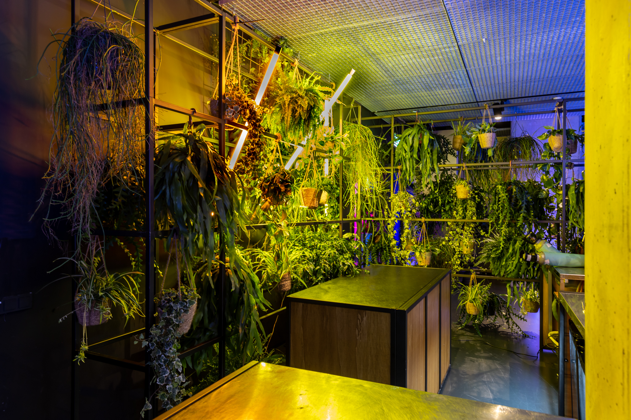 1111_BloemBloem_LR-©-Sabine_van_Nistelrooij-40