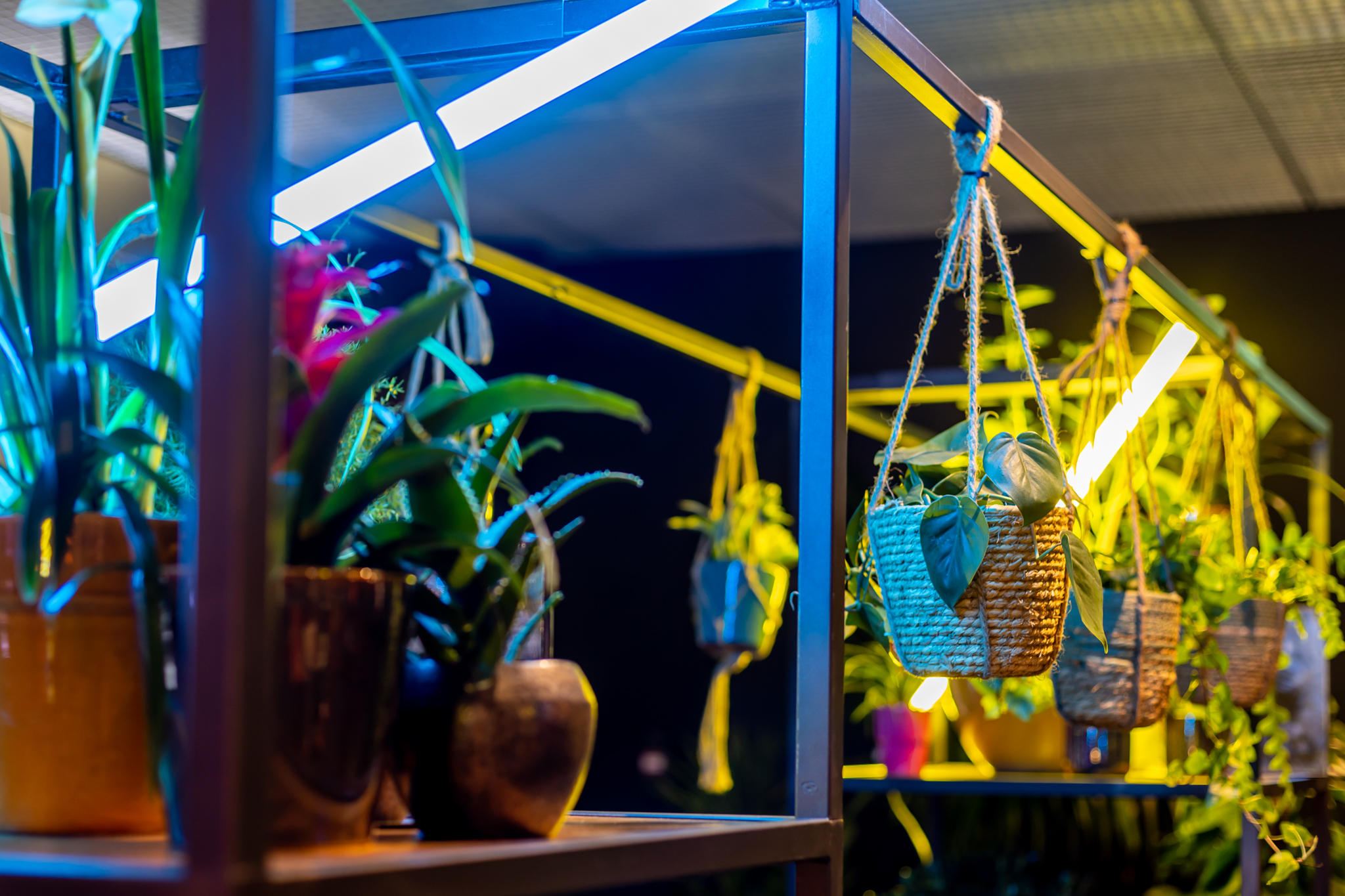 1111_BloemBloem_LR-©-Sabine_van_Nistelrooij-46