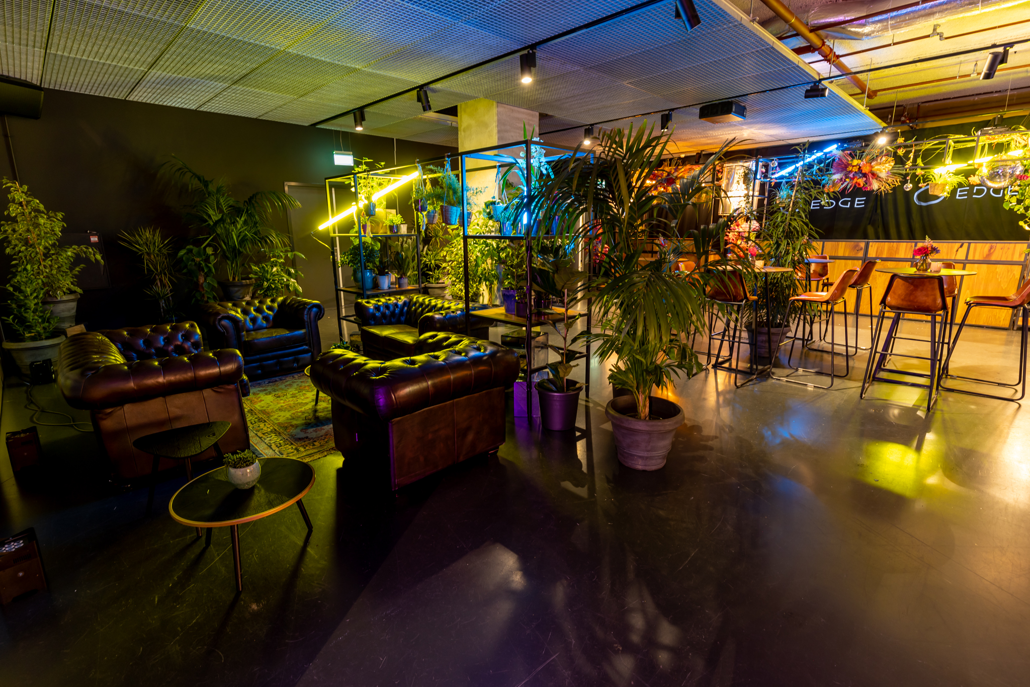 1111_BloemBloem_LR-©-Sabine_van_Nistelrooij-8