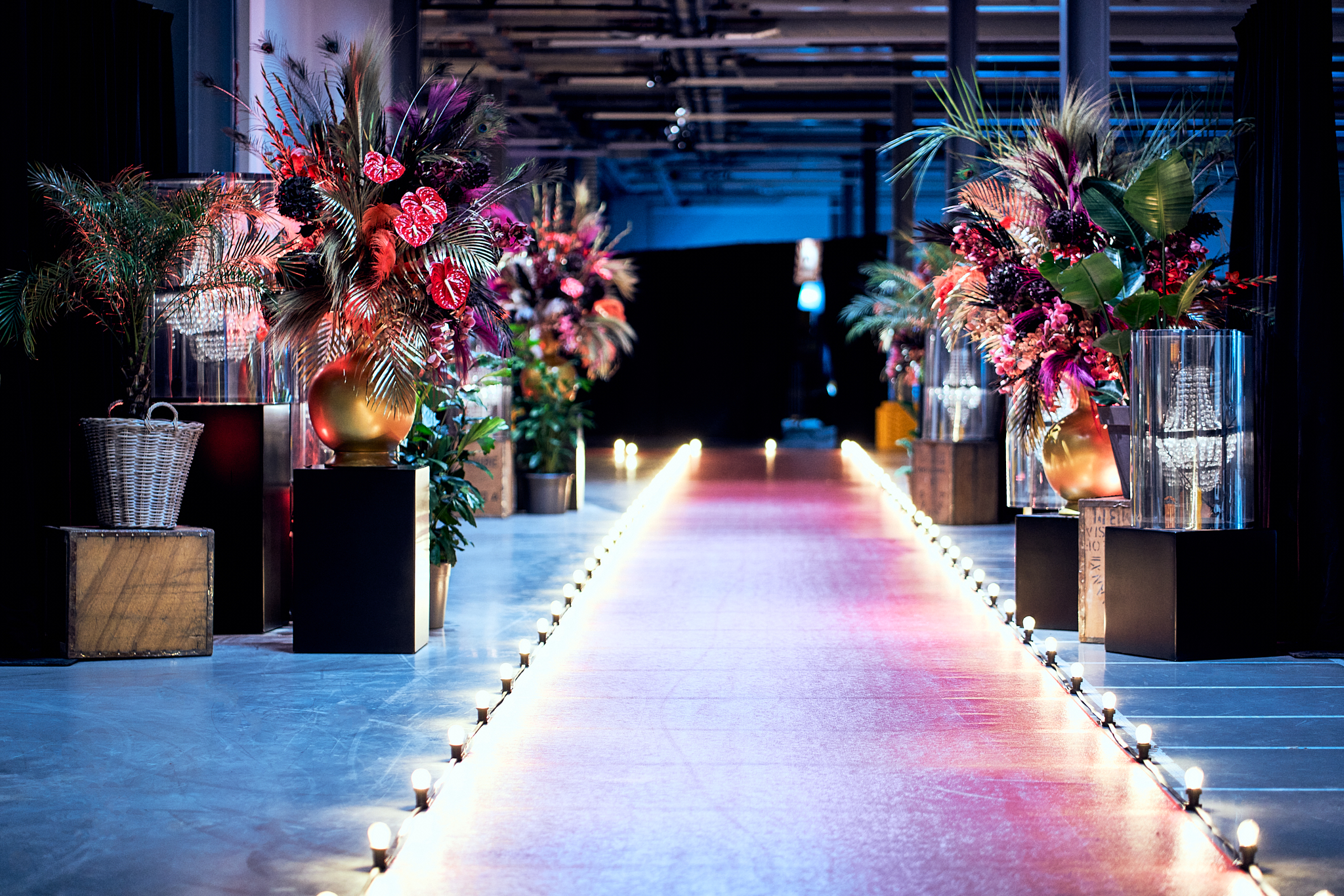 2022-11-11 Heman _LVS7238_small