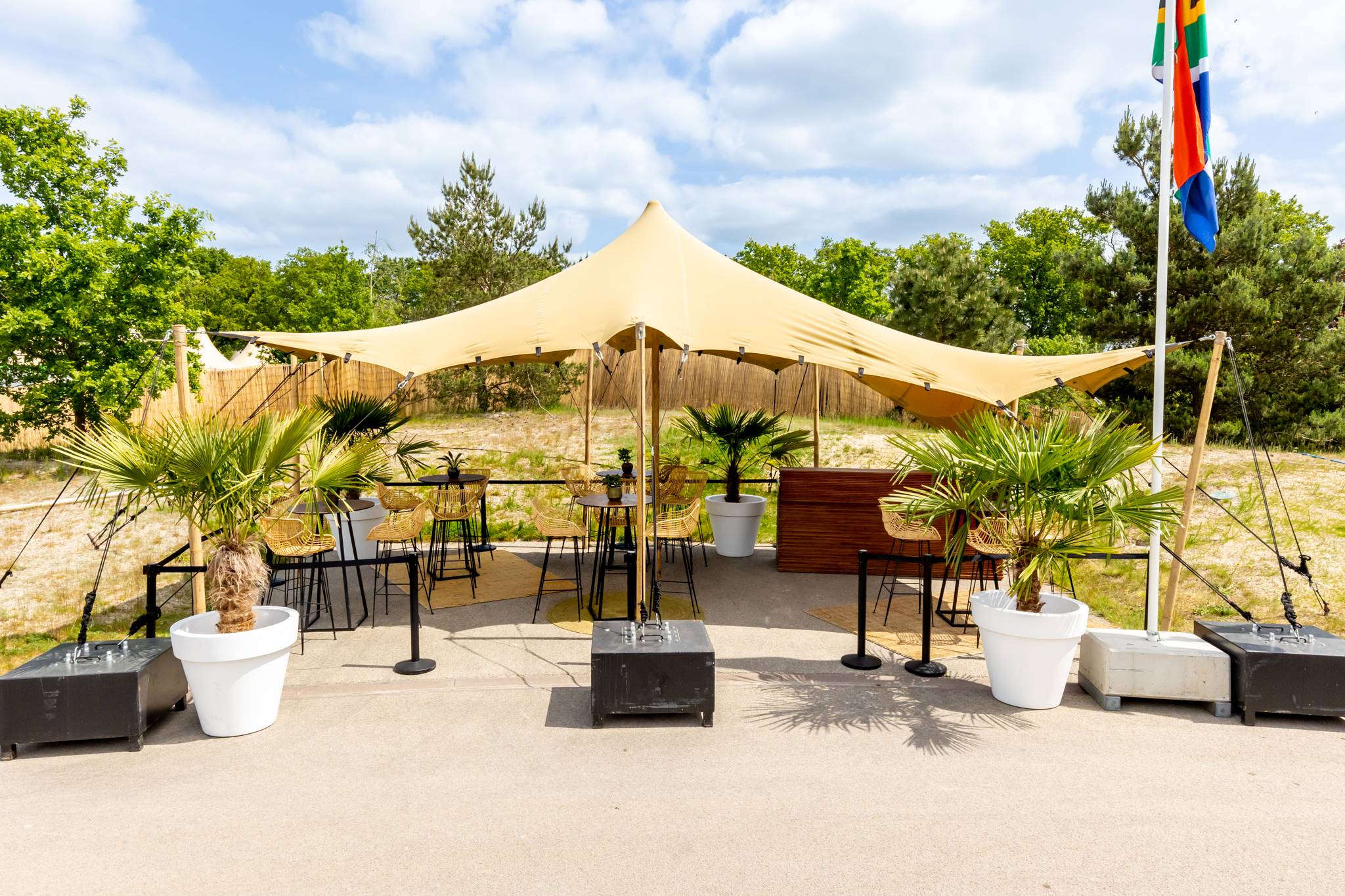 2305-BB-LR-©-Sabine_van_Nistelrooij-9