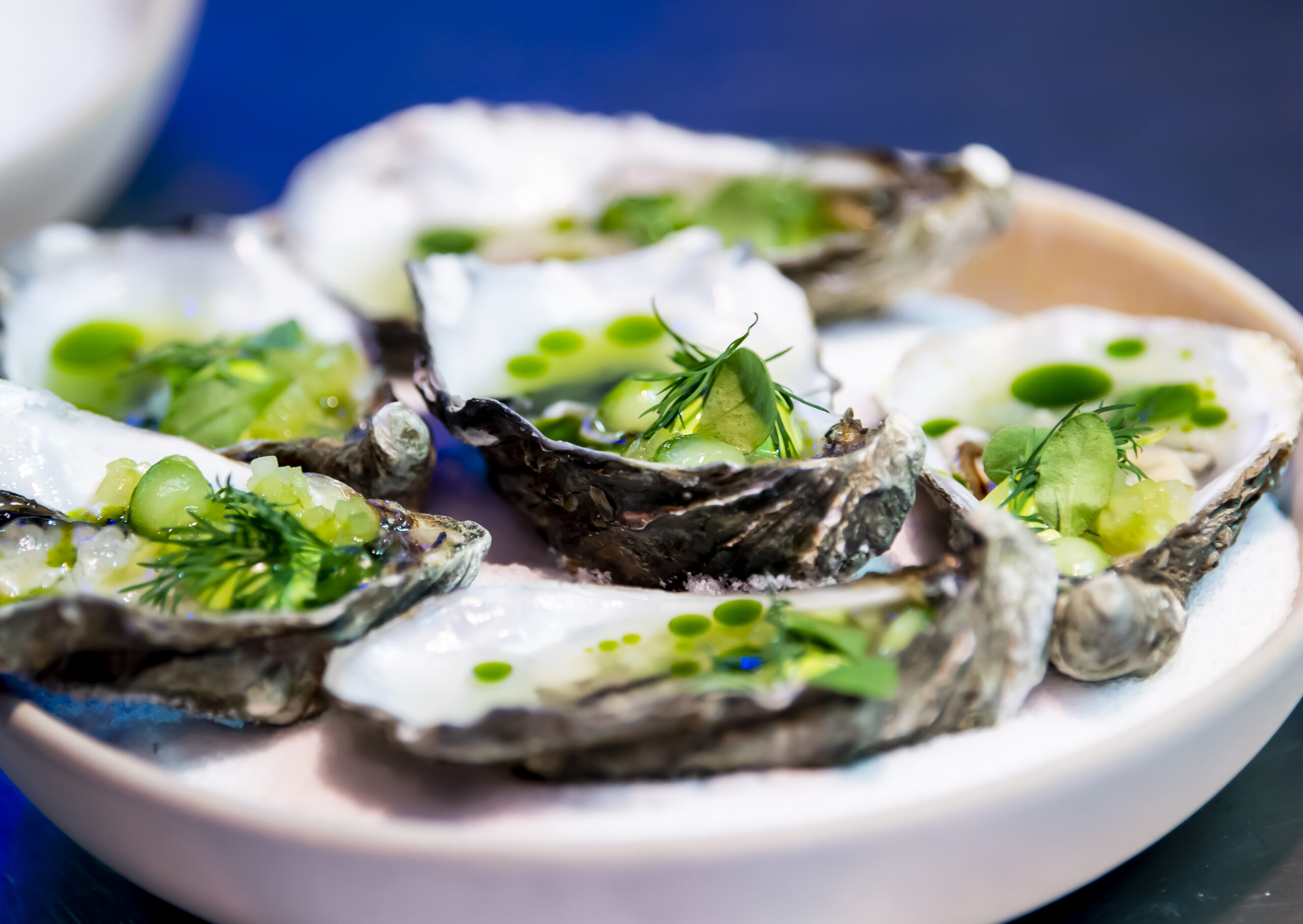 Catering - Food - Amuse - Oesters - Sterrenchef - Restaurant Basiliek - Michelinster - Rik Jansma - Fotograaf vermelden_ Nico Alsemgeest