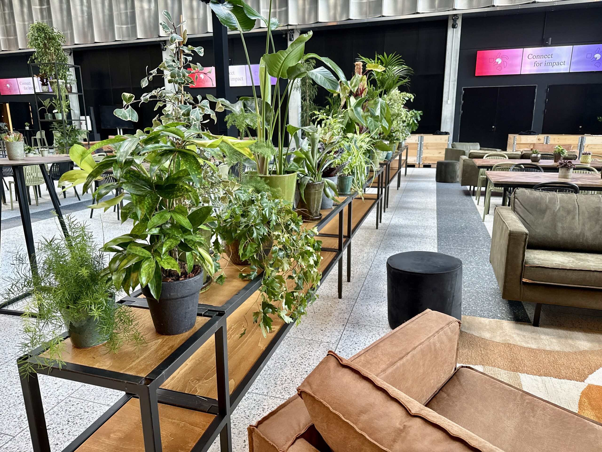 DJI_20251014_161921_346