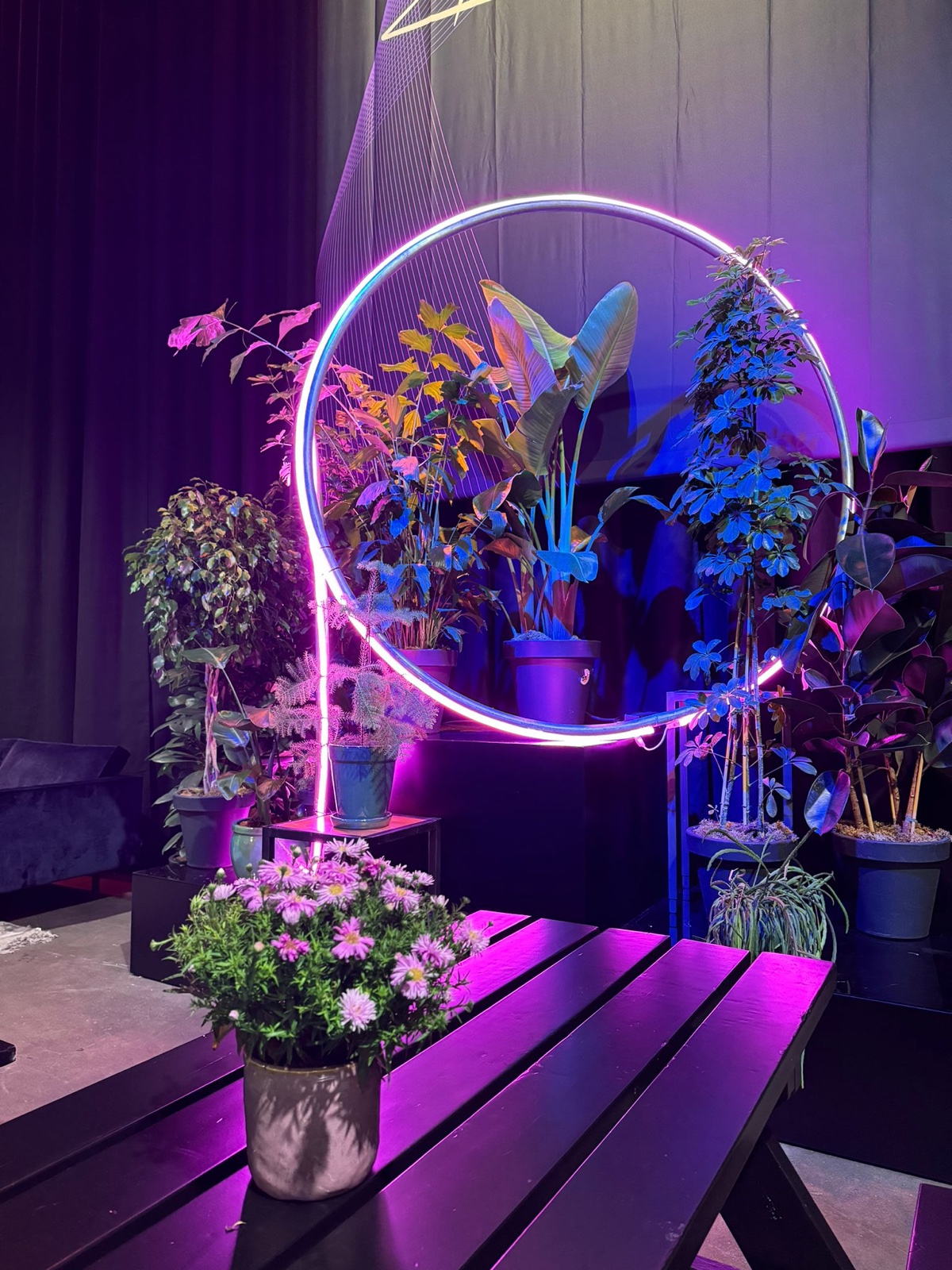 Padeltoernooi Ahoy Rotterdam