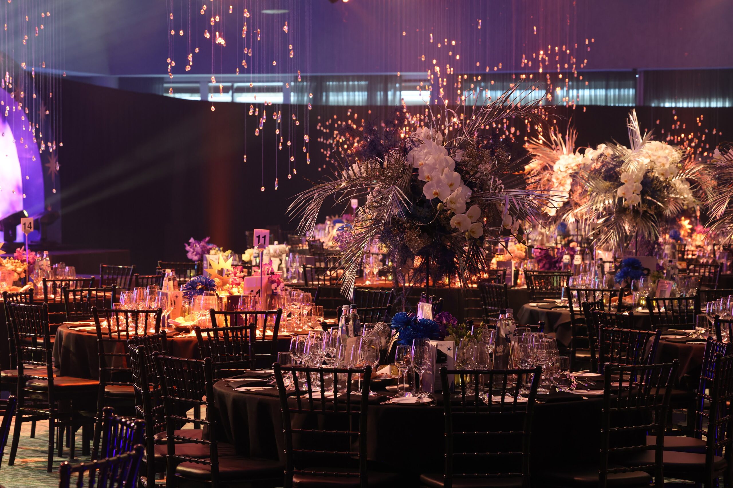 Ridderhof de Nijs 22mrt25 (1445)