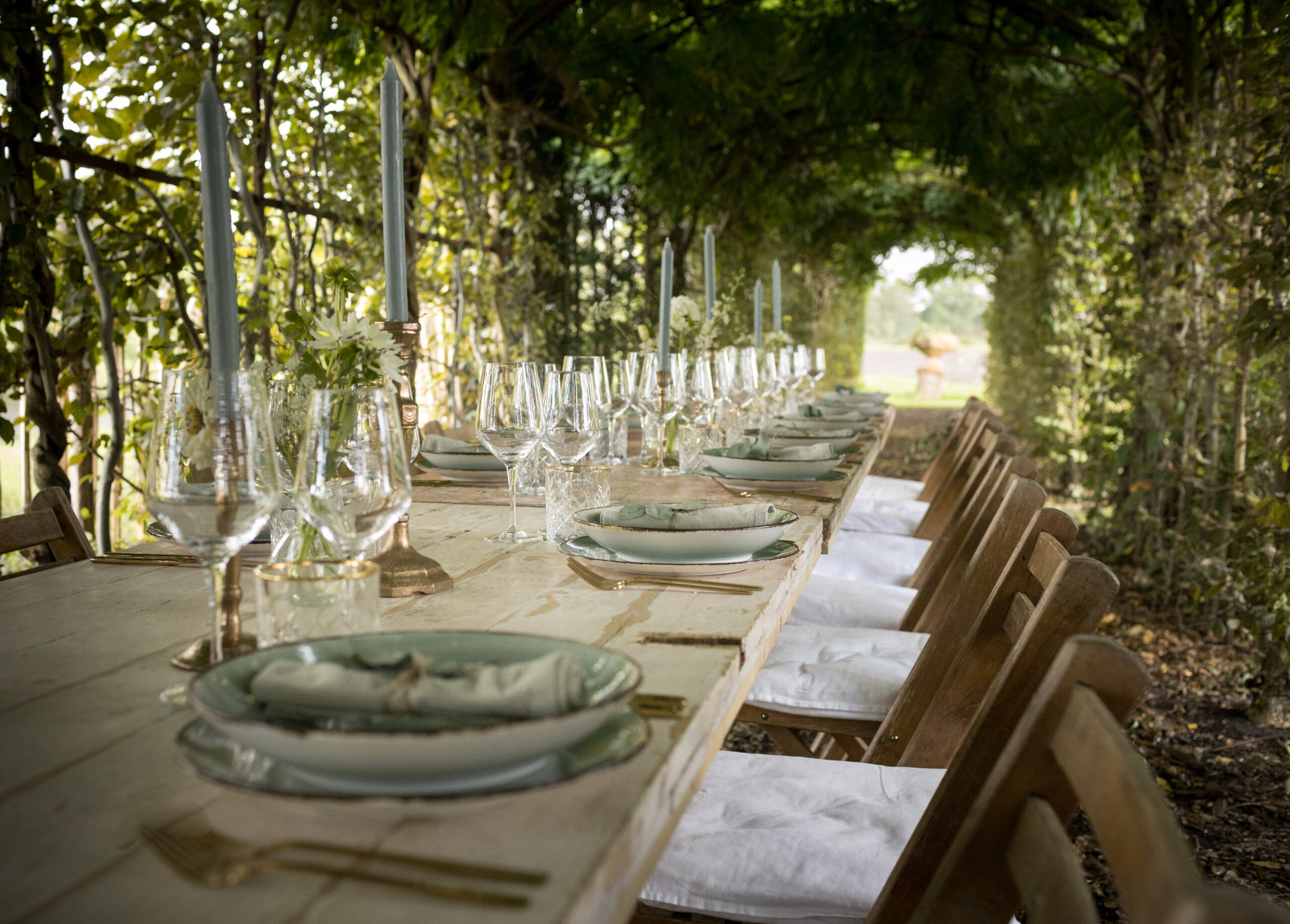 Vonk-20240911-DeHazelhofenDeKort-EOSR-#141 - kopie