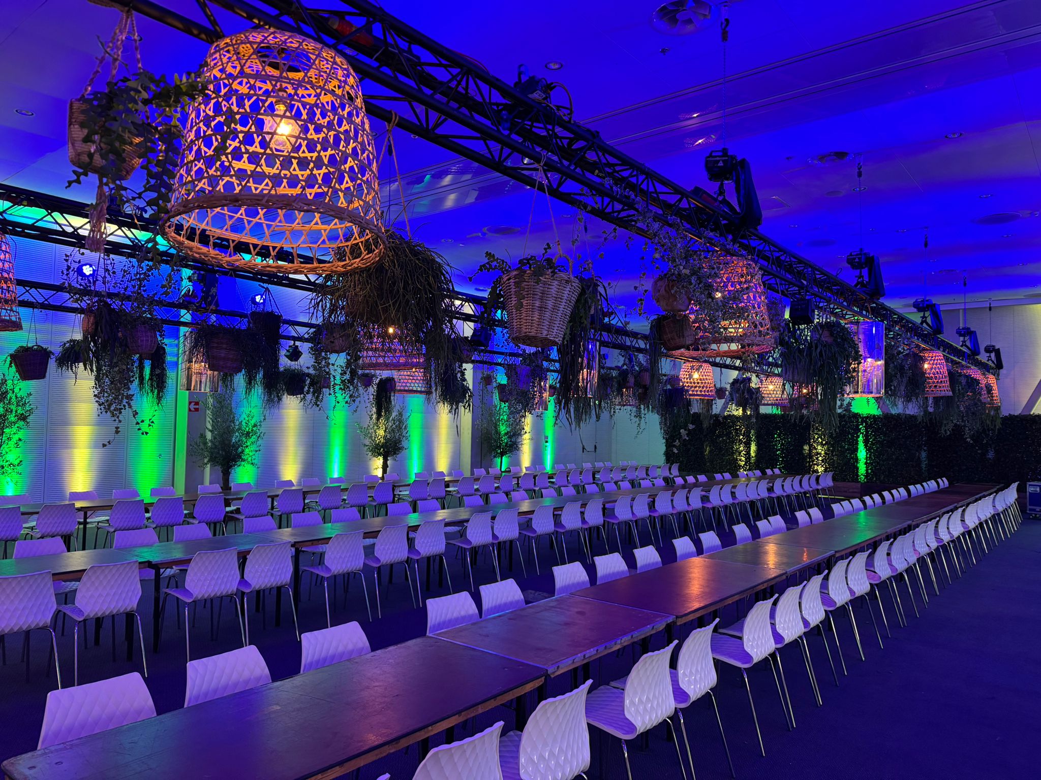 WhatsApp Image 2024-11-18 at 15.38.19