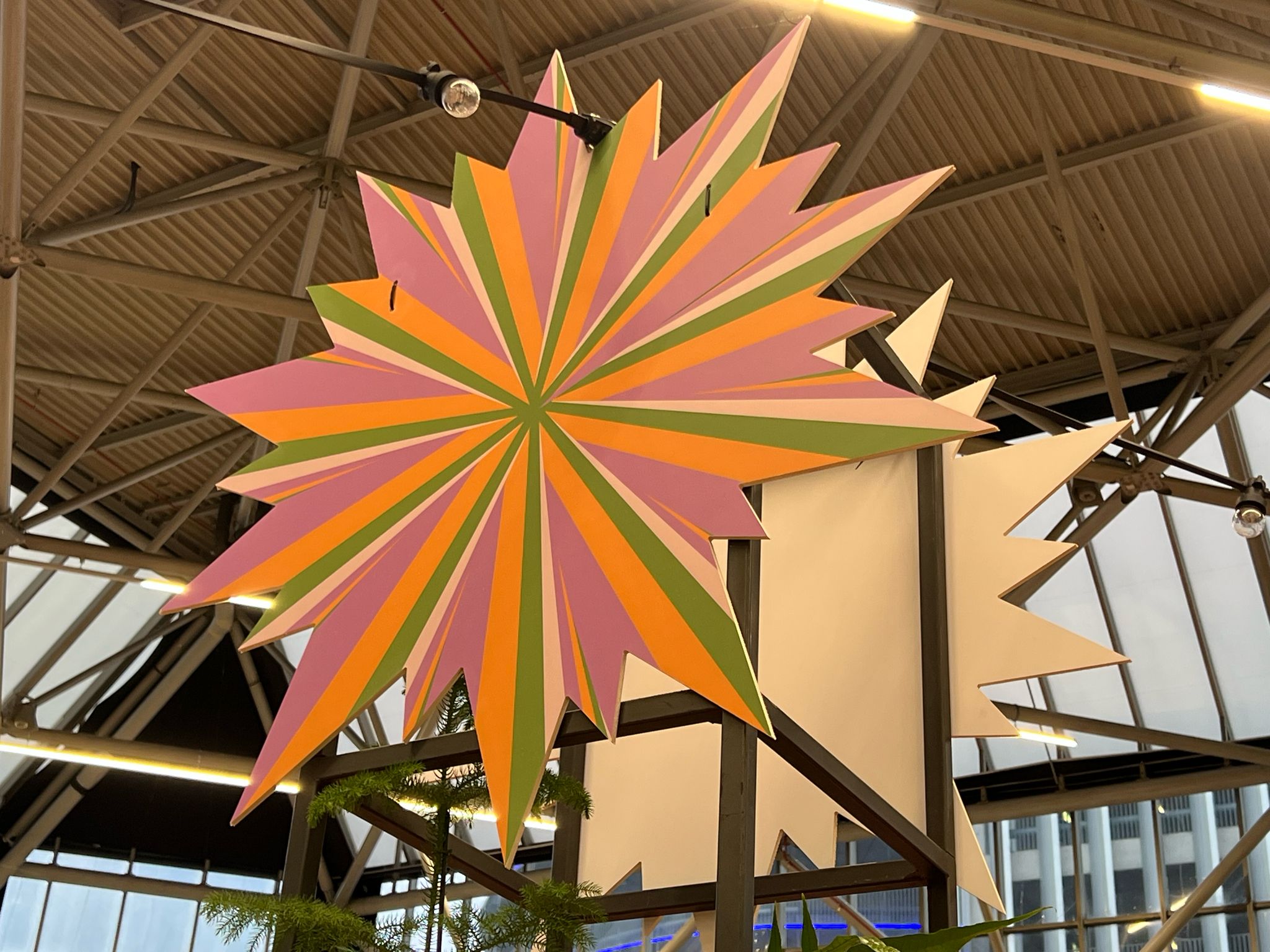 WhatsApp Image 2025-02-22 at 08.38.19 (1)-min