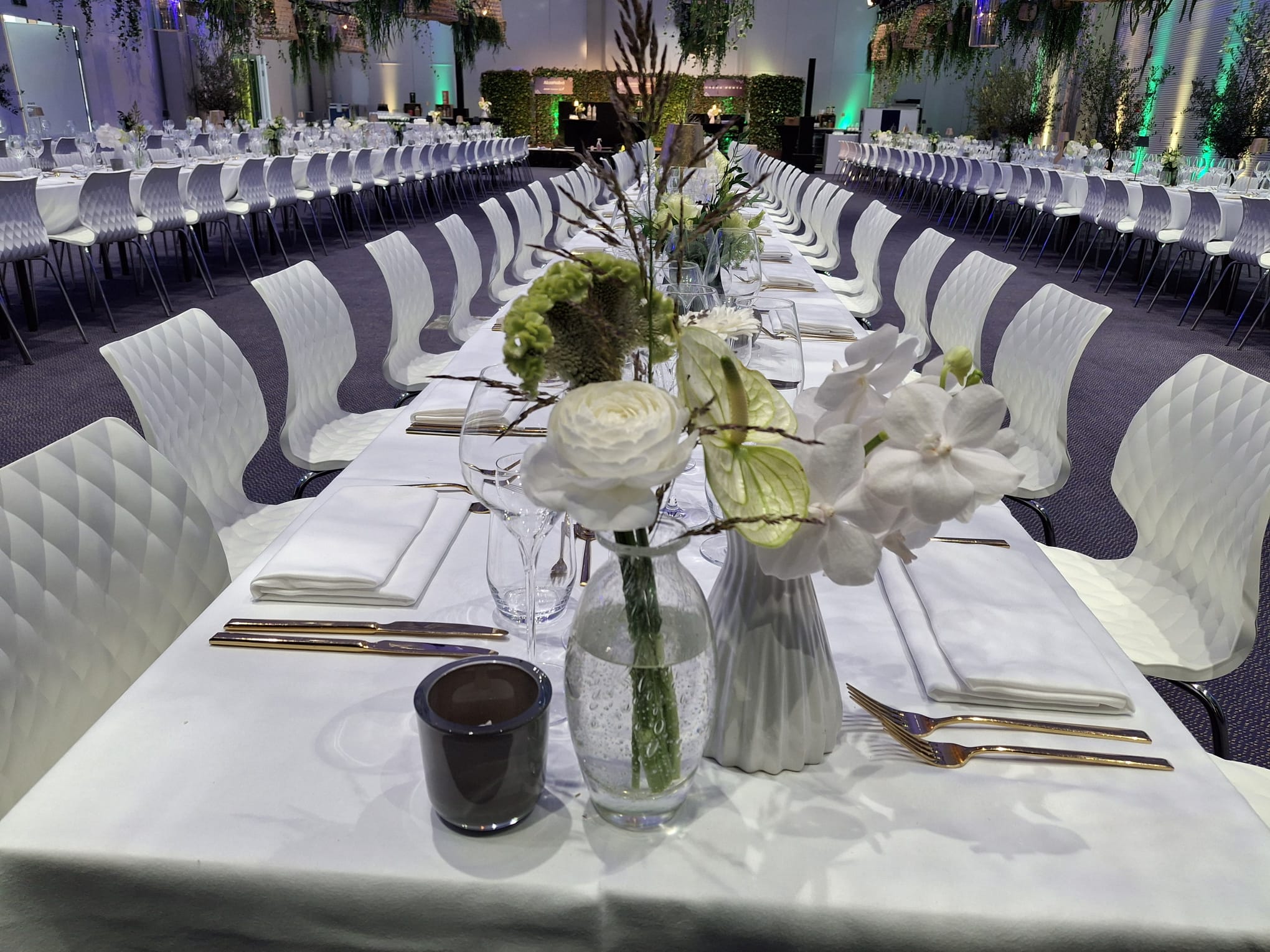 d38c213d-d423-4ec9-b0cf-d941b71af181