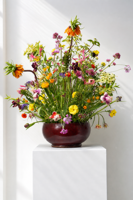 Bloemenshoot - 2026 - (1)