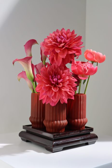 Bloemenshoot - 2026 - (5)