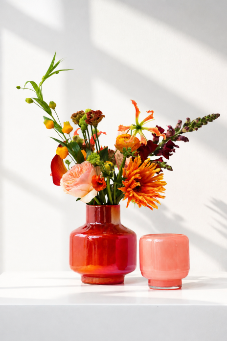 Bloemenshoot - 2026 - (7)