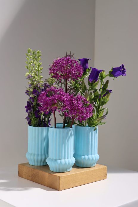 Bloemenshoot - 2026 - (8)